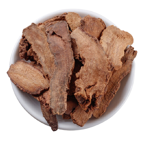 锁阳500g